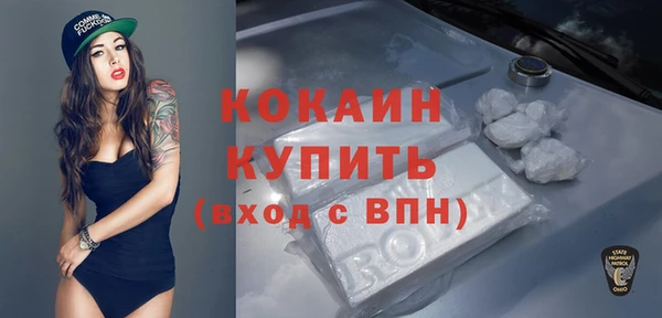 бошки Мегион