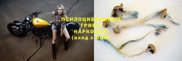 гашик Магас