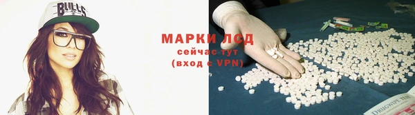 гашик Магас