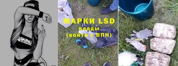 PSILOCYBIN Дубовка