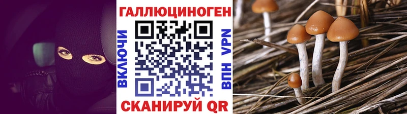 Галлюциногенные грибы Magic Shrooms  Кинель 