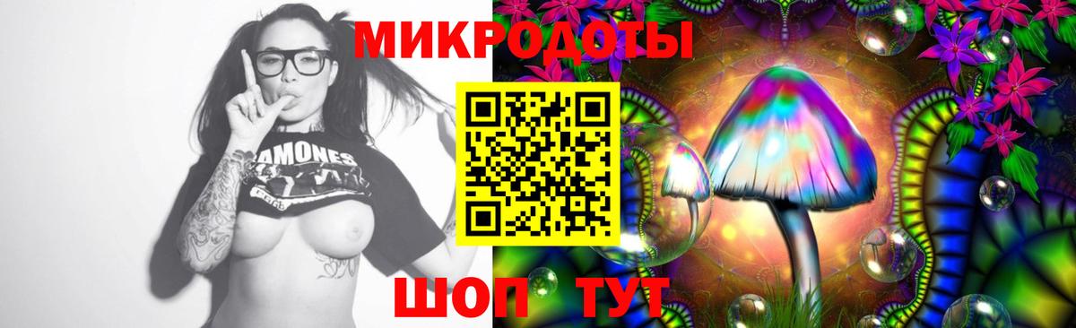 Галлюциногенные грибы GOLDEN TEACHER Кинель