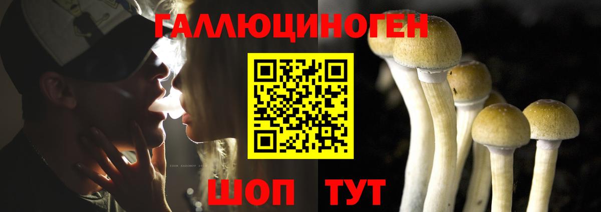 Галлюциногенные грибы прущие грибы  Вход с VPN  Кинель 